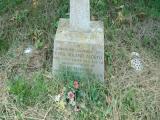 image of grave number 338007